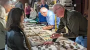 Mineralien- und Fossilienbörse in Holzweißig lockt mit Besucherrekord