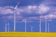 Neues Beteiligungsgesetz in MV: Segen für Anwohner oder Bremse für Windkraft?