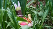 Ostern 2026: Schokohasen und Eier werden deutlich teurer - Preisschock für Verbraucher