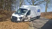 Paketzusteller bei Unfall nahe Sternberg verletzt: Transporter prallt gegen Baum