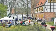 Pasewalk: Drittes Stadtringfest verwandelt historischen Ring in 2,8 km Festmeile