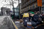 Rattenplage in Paris wird Wahlkampfthema - Millionen Nager sorgen für politischen Streit