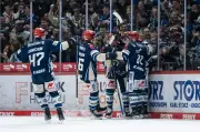 Schwenninger Wild Wings erzwingen Entscheidungsspiel gegen Wolfsburg im Eishockey