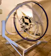 Space Curl in Naumburg: Astronauten-Gerät stärkt jetzt Gleichgewicht der Domstädter