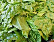 Spinat: Vom Hassgemüse zum Superfood – Warum das Grünzeug unverzichtbar ist