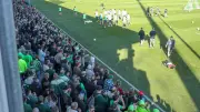 VfL Wolfsburg: 2500 Fans strömen zum Training vor HSV-Abstiegskampf