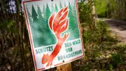 Waldbrandgefahr steigt: Forstamt Poggendorf warnt vor Feuer in Wäldern bei Demmin