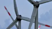 Windkraft in der Dübener Heide: Neue Standorte Pouch und Rösa statt Gossa und Schmerz geplant
