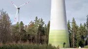 Windkraft in Muldestausee: Entscheidung über Windpark in Dübener Heide vertagt