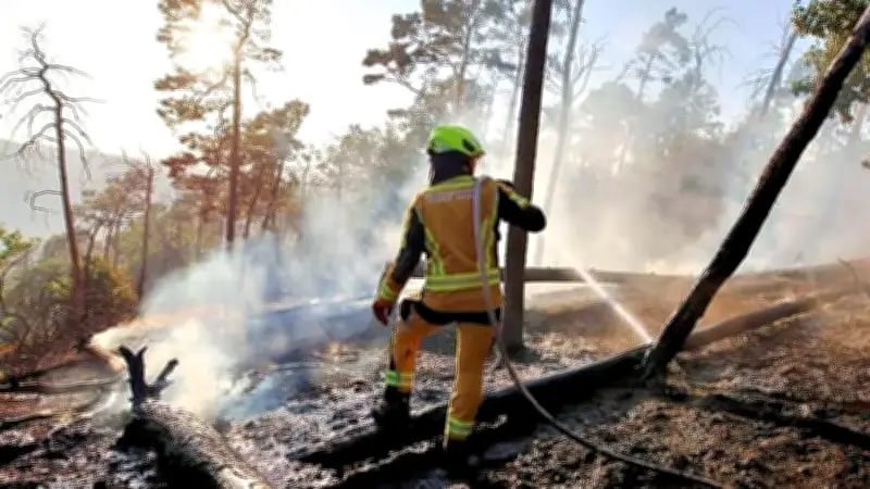 140 Jahre Feuerwehr Thale: 2026 wird zum Jahr der Feuerwehr