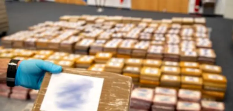 1,6 Tonnen Kokain in Bananen-Container entdeckt: Hamburger Hafen im Fokus der Drogenfahnder