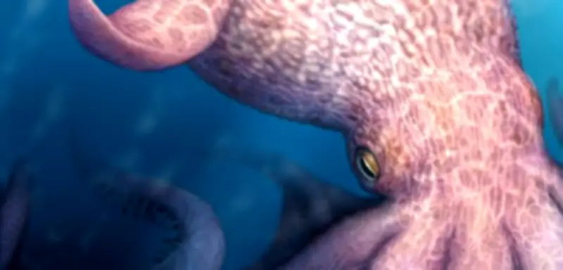 19 Meter langer Riesenkraken aus der Dinosaurierzeit entdeckt