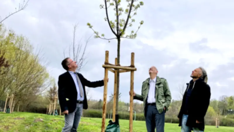 30 Bäume für kühlenden Schatten in Harzer Freibädern gepflanzt