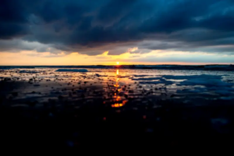 40 faszinierende Fakten zum Wattenmeer: Surfende Schnecken und wandernde Inseln