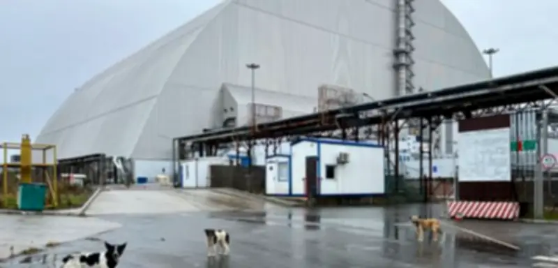 40 Jahre Tschernobyl: Biologe über seltsames Tierverhalten in der Sperrzone