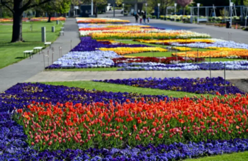65 Jahre egapark Erfurt: Thüringens größter Garten feiert Jubiläum