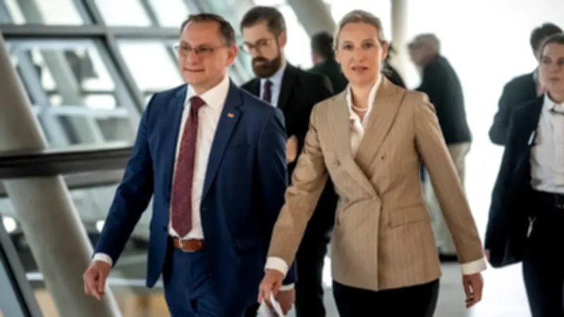 AfD holt sich Regierungstipps von FPÖ: „Extrem wertvoll“