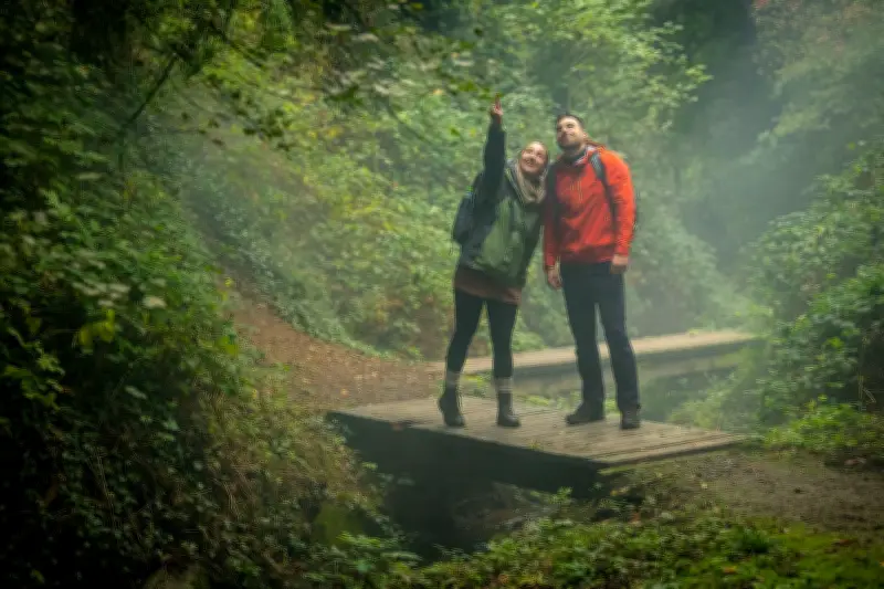 Ahrtal nach Flutkatastrophe: Sieben neue Wanderwege als Symbol des Neubeginns