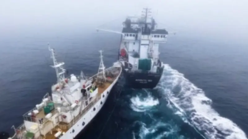 Antarktis-Konflikt eskaliert: Aktivisten rammen Krillfischerboot