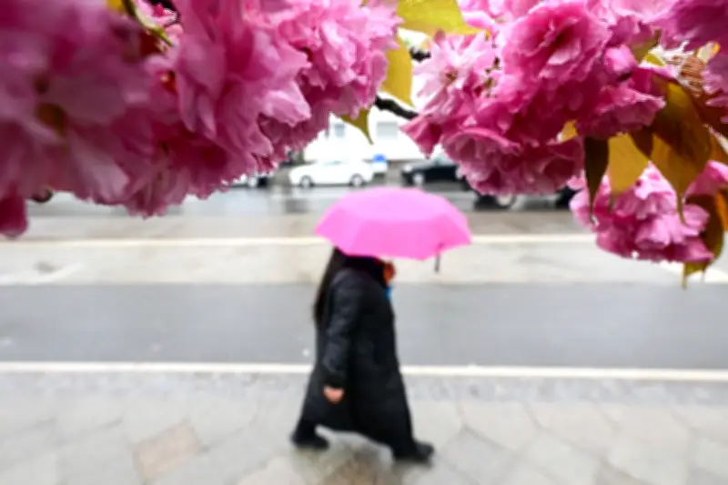 April in Berlin und Brandenburg: Regenrekord und viel Sonnenschein