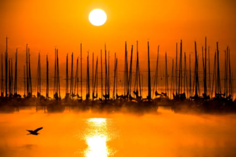 April in Niedersachsen: Rekordsonne und extreme Trockenheit