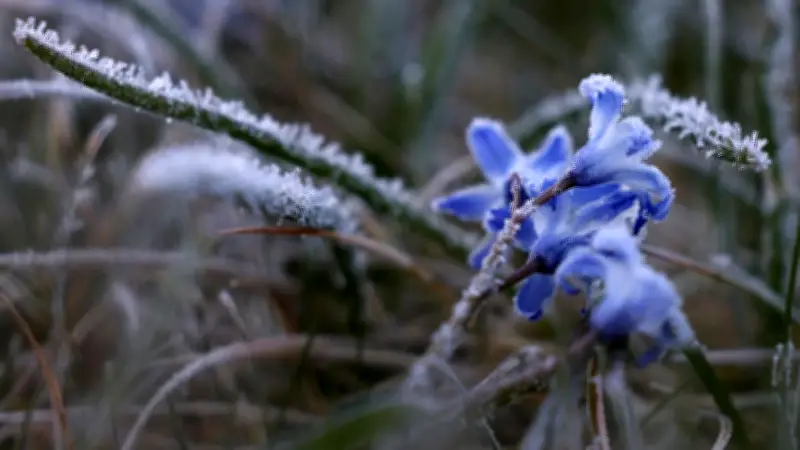 Aprilwetter schlägt Purzelbaum: Temperatursturz bringt Schnee zurück nach Deutschland