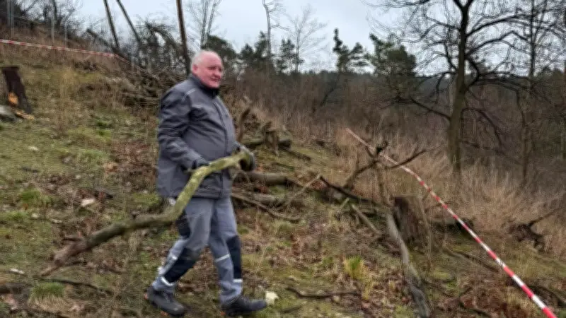 Aufforstung im Harz: Fast 1.000 neue Bäume für den Kuckucksberg