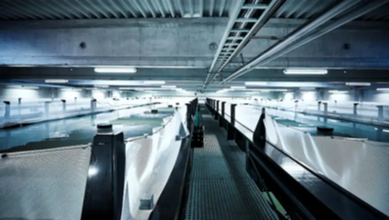 Ausstellung zeigt schonungslose Wahrheit über unsere Ernährung