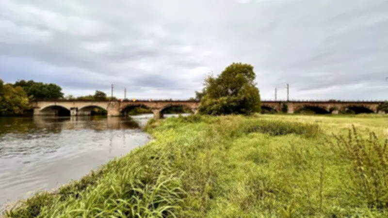 Bahnprojekt bei Halle: Einjährige S-Bahn-Sperrung nach Neustadt steht bevor
