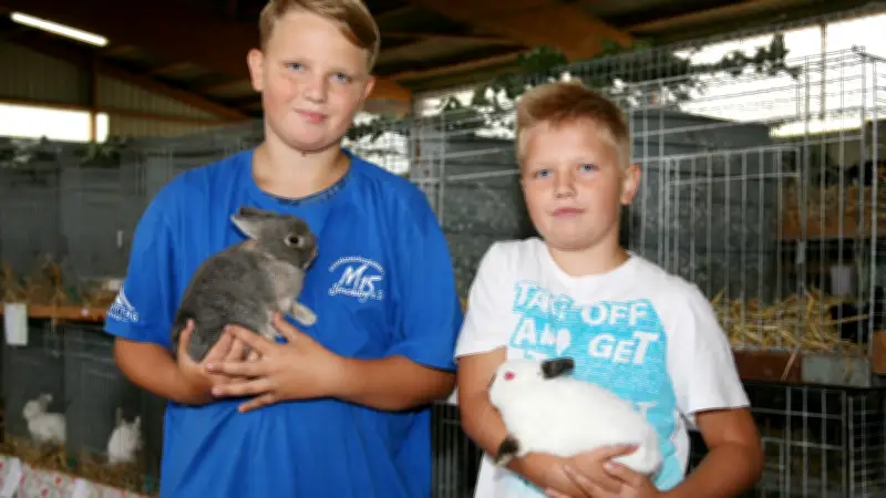Bauernmuseum Wittstock startet Saison mit Kaninchentag: Streicheln und Spezialitäten