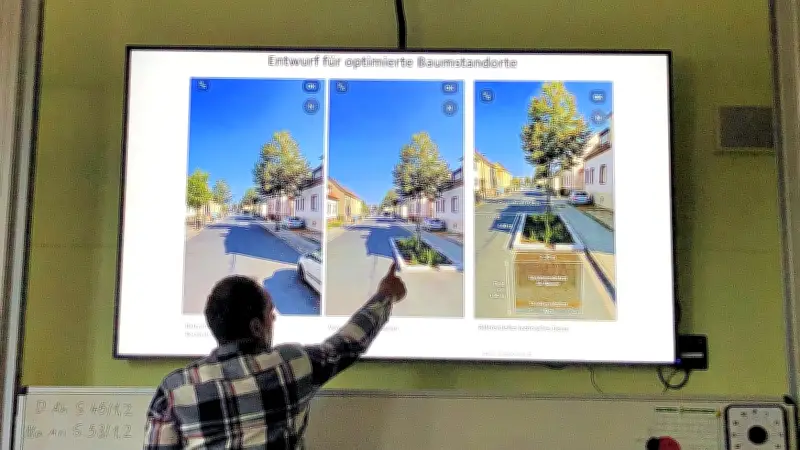 Baumwurzeln heben Fußweg an: Neue Bäume könnten auf der Fahrbahn stehen