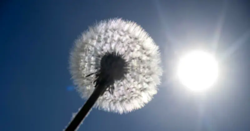 Bayern: Frostige Nächte, aber sommerlicher Maifeiertag mit 25 Grad