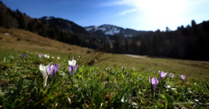 Bayerns Wochenende: Sonnige Höhenflüge und regnerische Tiefschläge im Wechsel