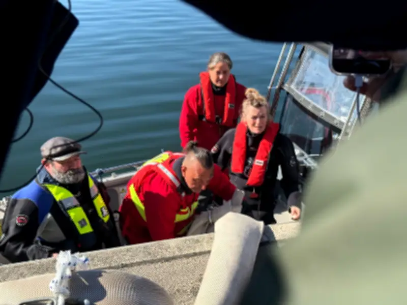 Bergung von Buckelwal in Ostsee gestartet: Helfer am Werk