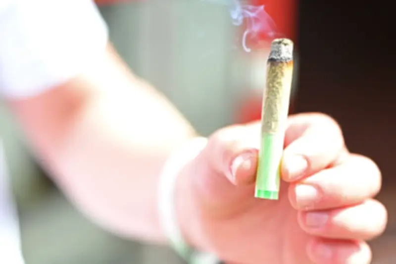 Berlin hebt 208 Cannabis-Strafen nach Legalisierung auf – Amnestie zeigt Wirkung