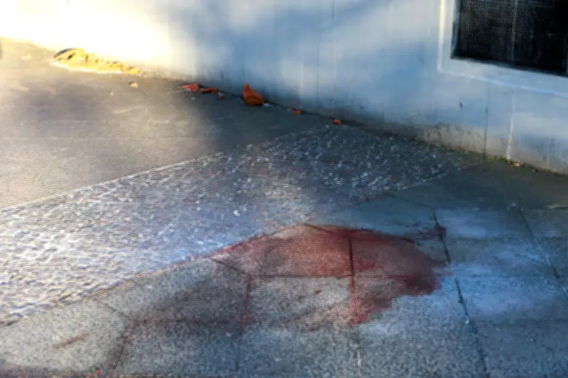 Berlin: Mann von herabfallendem Blumenkübel erschlagen - Polizei geht von tragischem Unfall aus