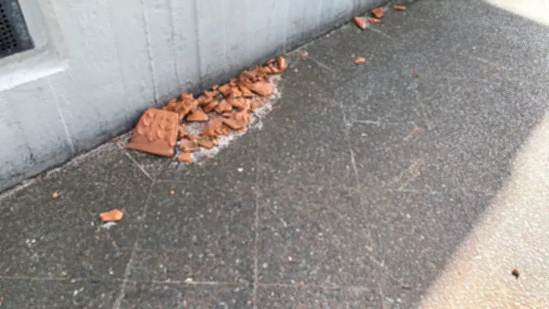 Berlin: Staatsanwaltschaft ermittelt nach tödlichem Blumentopf-Unfall am Vinetaplatz