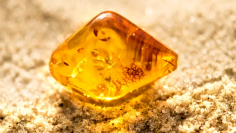 Bernstein: Faszinierende Fakten über das Gold der Ostsee in Mecklenburg-Vorpommern