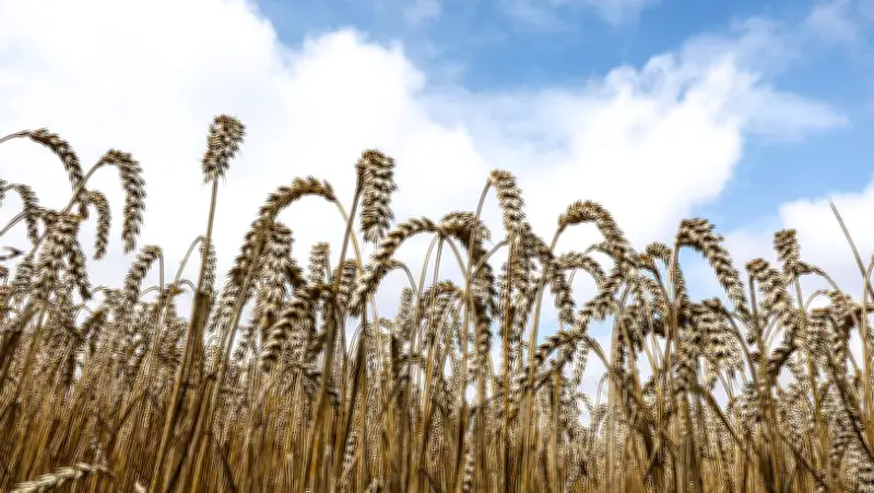 Bio-Vodka aus München: 30-fach destilliert und preisgekrönt
