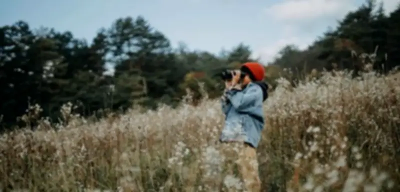 Birding-Boom: Warum Vögel beobachten plötzlich zum Trend wird