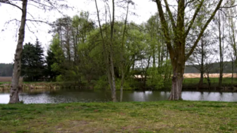 Böller-Explosion in Neu Krenzlin: Kinder schwer verletzt - Polizei sucht nach Ursprung der Pyrotechnik