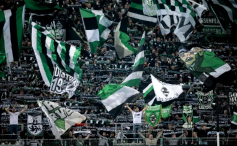 Borussia Mönchengladbach: Erneuter Millionenverlust trotz Umsatzplus