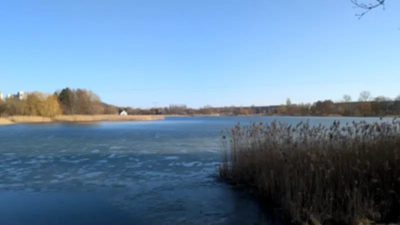 Botanische Exkursion am Reitbahnsee in Neubrandenburg