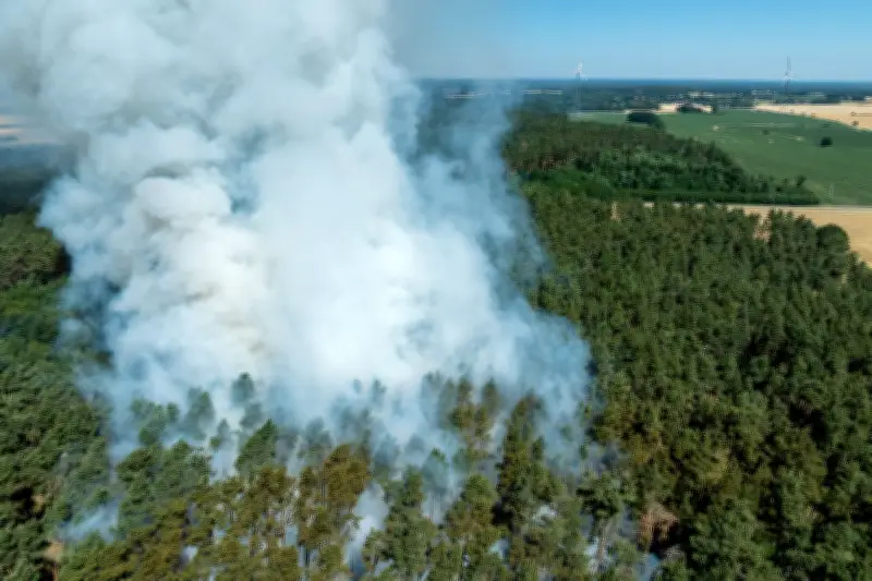 Brandenburg: Waldbrandgefahr erreicht in vier Landkreisen die zweithöchste Stufe