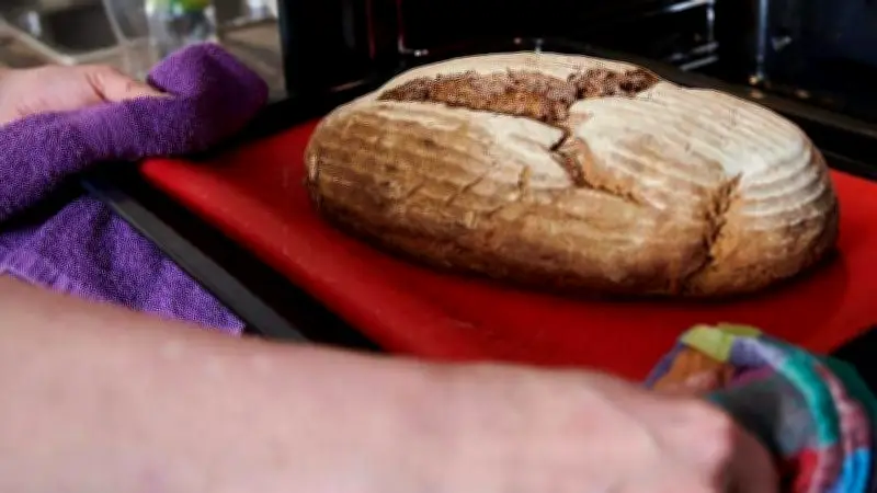 Brotgenuss und Wissenschaft: Experte spricht in Gatersleben über gesunden Weizen