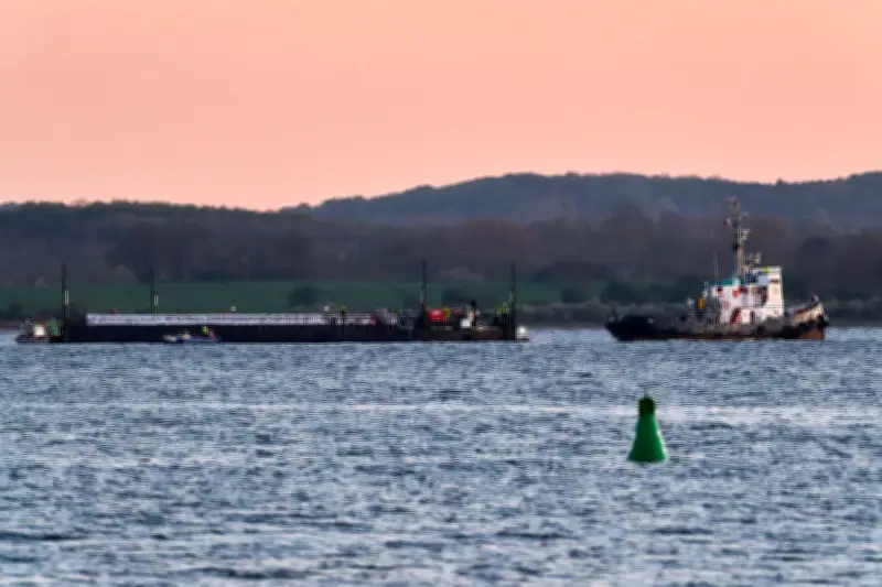 Buckelwal auf dem Weg in die Nordsee: Rettung in entscheidender Phase