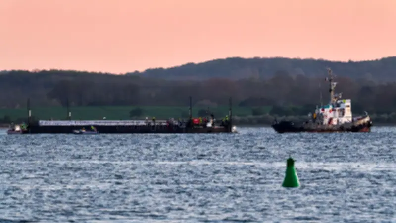 Buckelwal auf dem Weg zur Nordsee: Rettungsaktion in entscheidender Phase