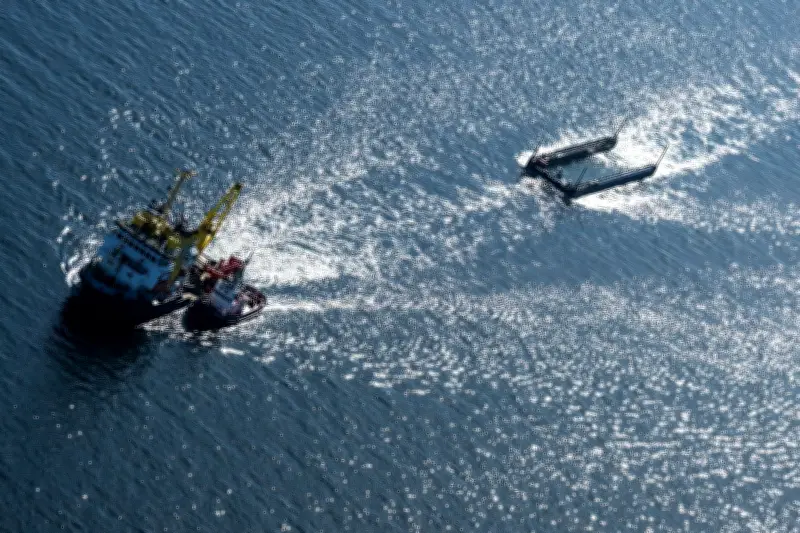 Buckelwal auf Transport Richtung Nordsee: Experten skeptisch