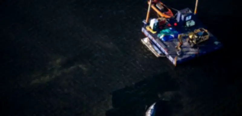 Buckelwal in der Ostsee: Wie das Mitgefühl der Retter schwand