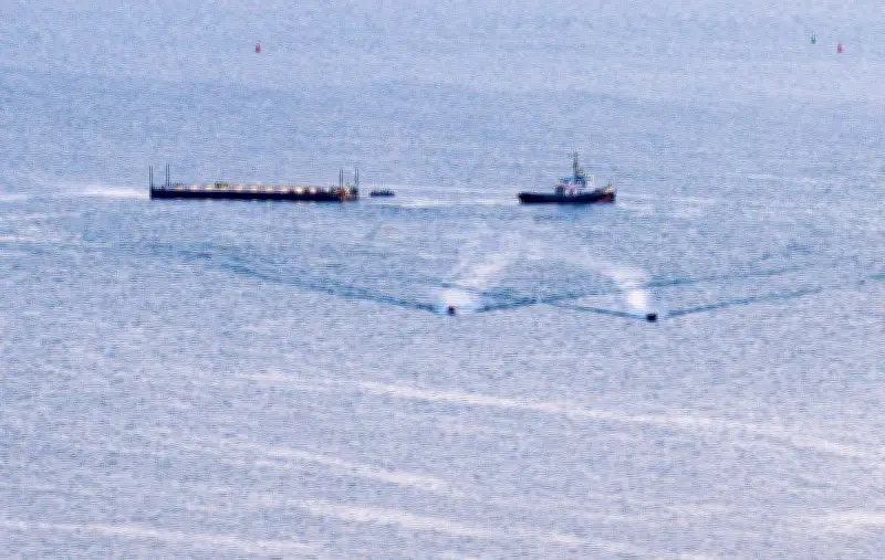 Buckelwal-Transport: Tier liegt in Barge auf Sandbett